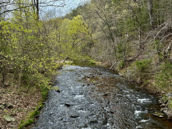 Creek view