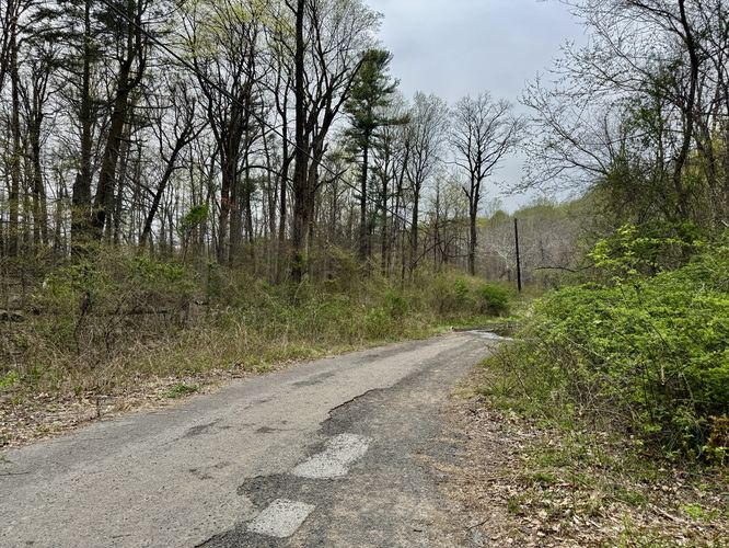 Old road defines the trail