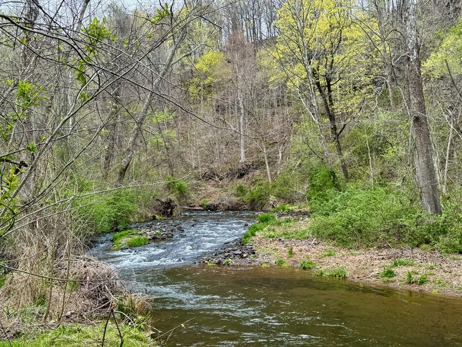 Creek view