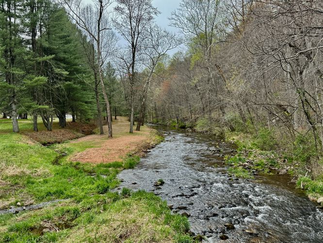 View of Hay Creek