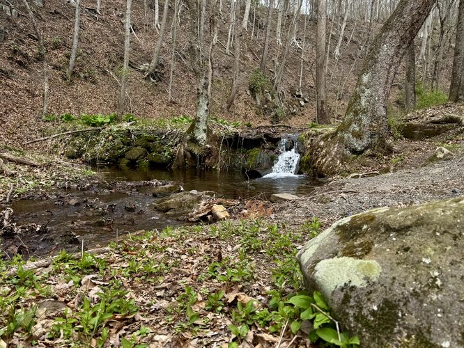 Very small "waterfall" (2-feet tall max)