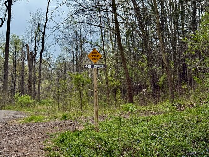 Trail junction with creek by-pass route