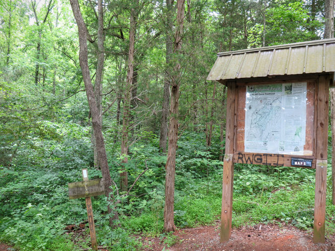Picture 3 of Birkhead Mountain Wilderness Hike 053016