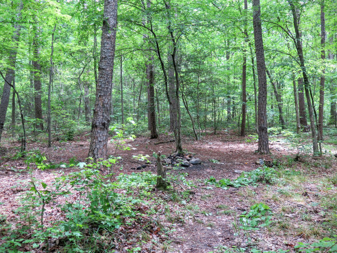 Picture 6 of Birkhead Mountain Wilderness Hike 053016