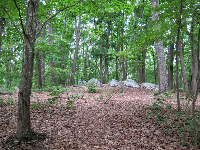 Picture 16 of Birkhead Mountain Wilderness Hike 053016