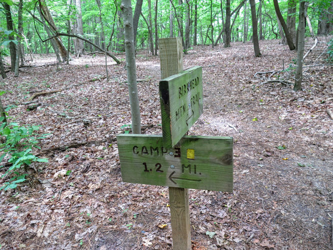 Picture 19 of Birkhead Mountain Wilderness Hike 053016