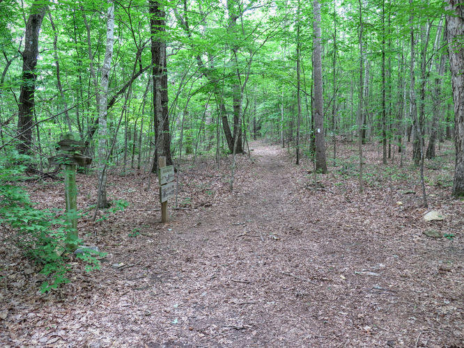 Picture 22 of Birkhead Mountain Wilderness Hike 053016