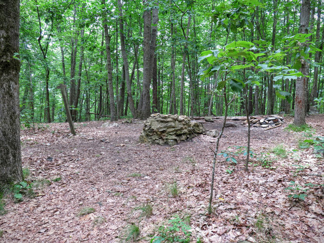 Picture 26 of Birkhead Mountain Wilderness Hike 053016