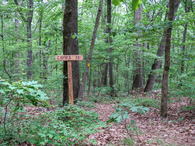 Picture 27 of Birkhead Mountain Wilderness Hike 053016