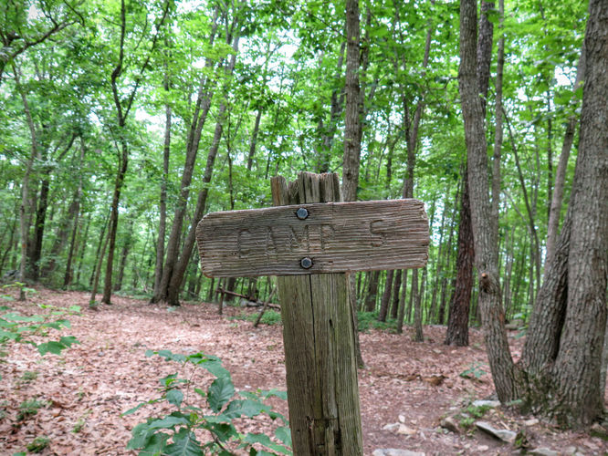 Picture 28 of Birkhead Mountain Wilderness Hike 053016