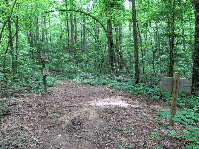 Picture 31 of Birkhead Mountain Wilderness Hike 053016
