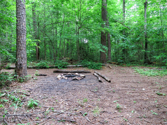 Picture 32 of Birkhead Mountain Wilderness Hike 053016