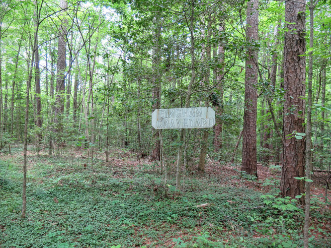 Picture 33 of Birkhead Mountain Wilderness Hike 053016