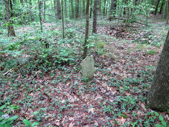 Picture 35 of Birkhead Mountain Wilderness Hike 053016