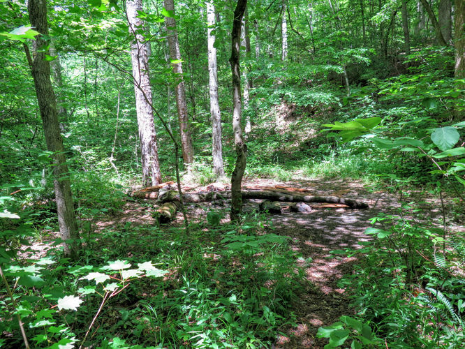 Picture 40 of Birkhead Mountain Wilderness Hike 053016