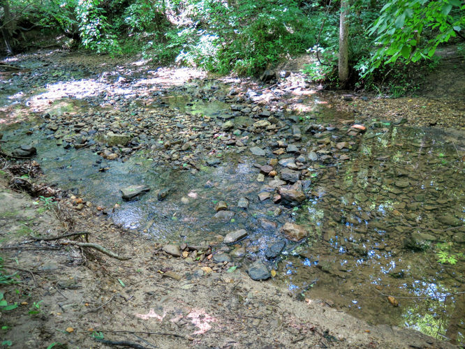 Picture 41 of Birkhead Mountain Wilderness Hike 053016