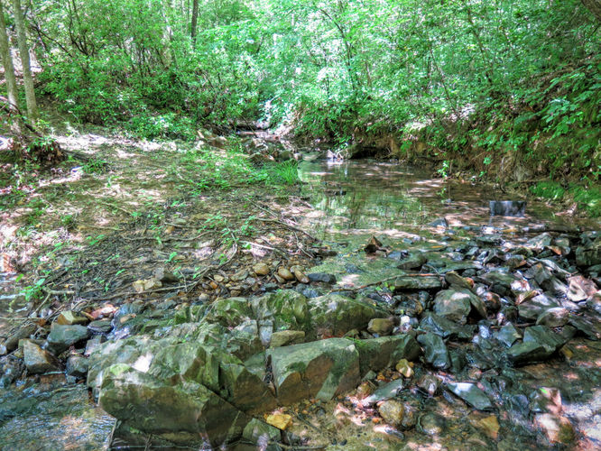 Picture 44 of Birkhead Mountain Wilderness Hike 053016