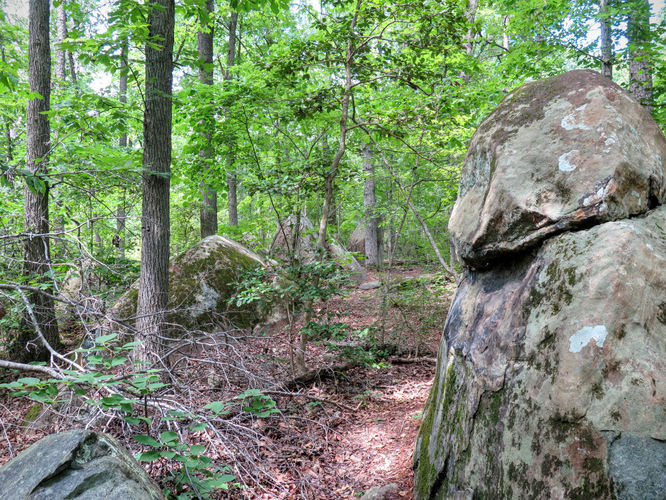Picture 48 of Birkhead Mountain Wilderness Hike 053016