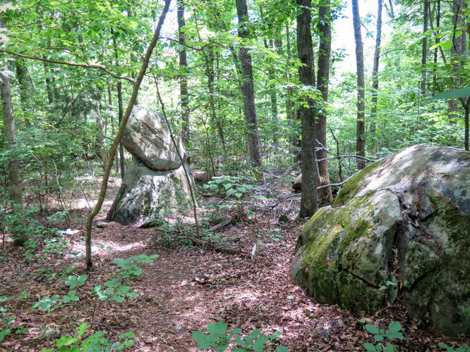Picture 49 of Birkhead Mountain Wilderness Hike 053016