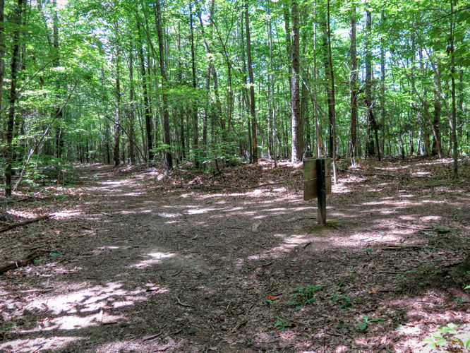 Picture 50 of Birkhead Mountain Wilderness Hike 053016