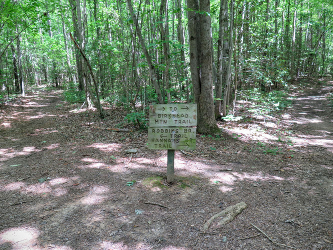 Picture 51 of Birkhead Mountain Wilderness Hike 053016