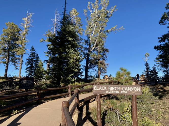 Black Birch Canyon Overlook trailhead