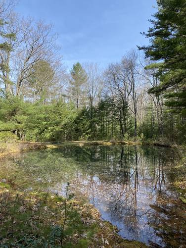 Reflection Pond