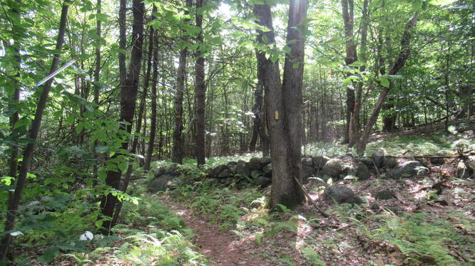 Trail continues close to old stone wall