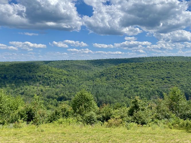 View of Black Gap