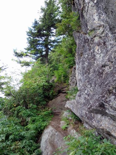 Picture 45 of Black Mountain Crest Trail Hike 080215