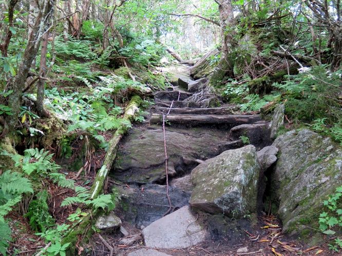 Picture 53 of Black Mountain Crest Trail Hike 080215