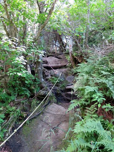 Picture 54 of Black Mountain Crest Trail Hike 080215