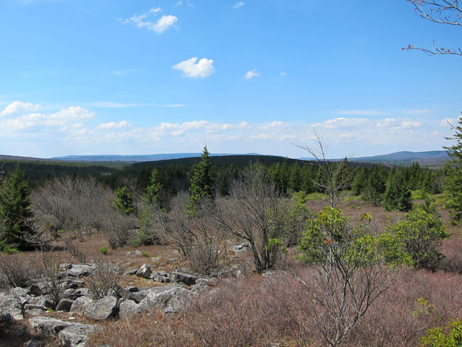 Picture 4 of Blackbird Knob Hike 050315