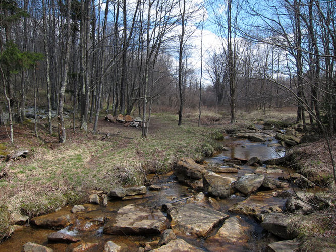 Picture 5 of Blackbird Knob Hike 050315