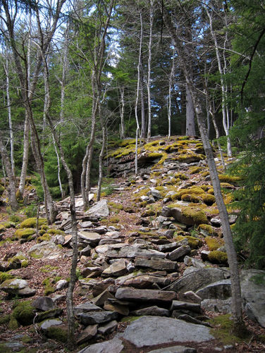 Picture 7 of Blackbird Knob Hike 050315