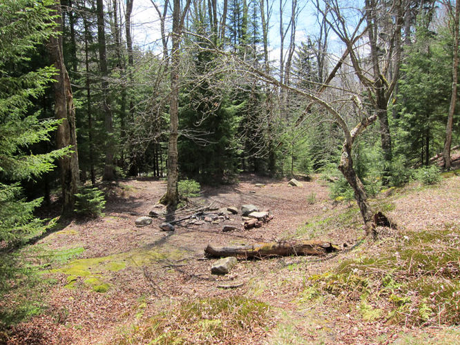 Picture 10 of Blackbird Knob Hike 050315