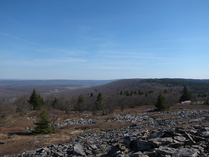 Picture 17 of Blackbird Knob Hike 050315