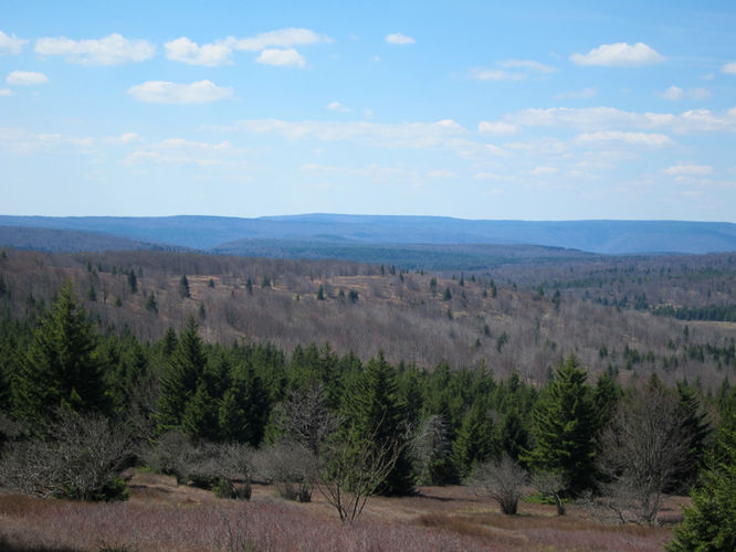 Picture 24 of Blackbird Knob Hike 050315