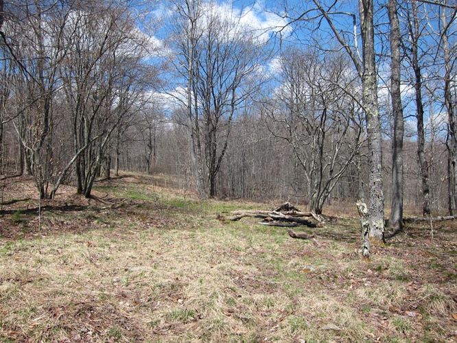 Picture 30 of Blackbird Knob Hike 050315