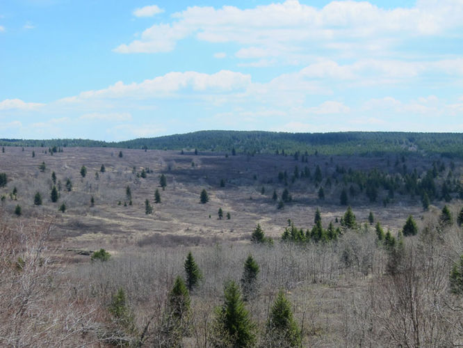 Picture 31 of Blackbird Knob Hike 050315