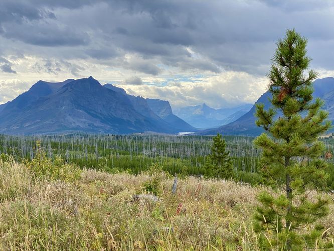 View of Saint Mary Lake and surrounding mountains in Glacier NP