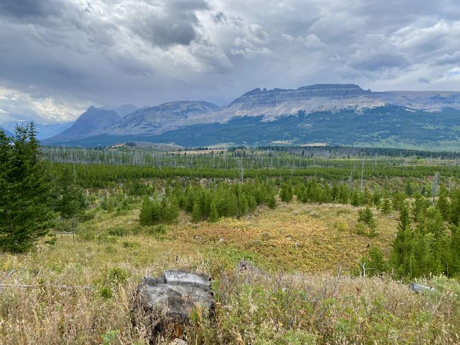 Mountain views from the trail