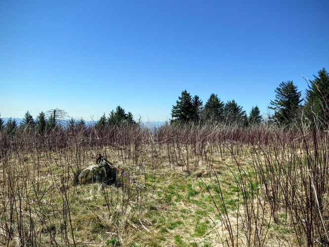 Picture 11 of Blackrock Mtn and The Pinnacle Hike 041616