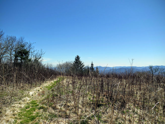 Picture 13 of Blackrock Mtn and The Pinnacle Hike 041616