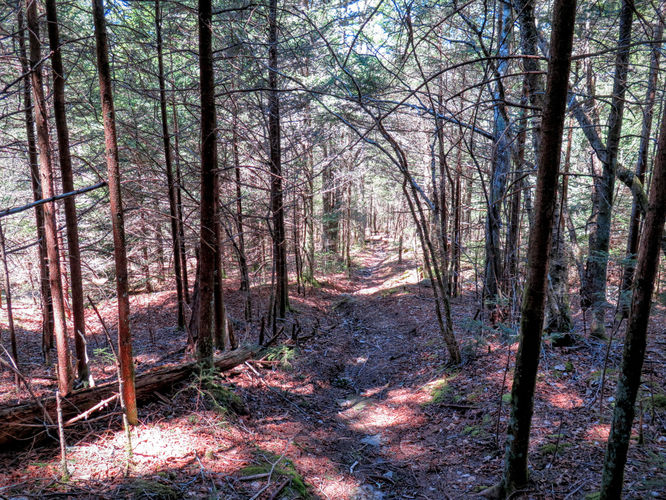Picture 15 of Blackrock Mtn and The Pinnacle Hike 041616
