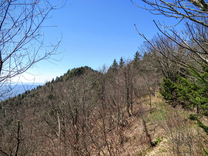 Picture 18 of Blackrock Mtn and The Pinnacle Hike 041616