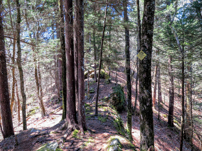 Picture 19 of Blackrock Mtn and The Pinnacle Hike 041616