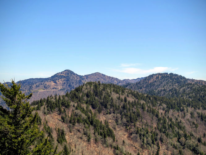 Picture 21 of Blackrock Mtn and The Pinnacle Hike 041616