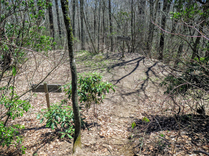 Picture 33 of Blackrock Mtn and The Pinnacle Hike 041616