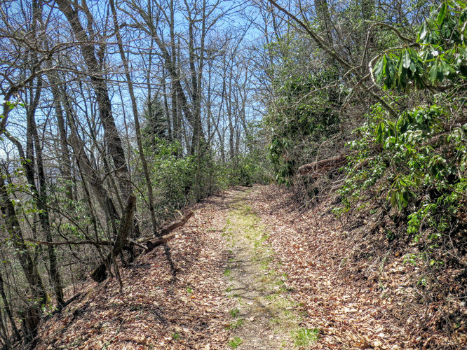 Picture 34 of Blackrock Mtn and The Pinnacle Hike 041616